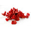 Chilli Rose