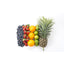 Fruity	